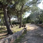 Flamingos In The Desert Villasimius