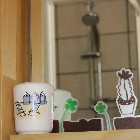 Flamingos In The Desert *