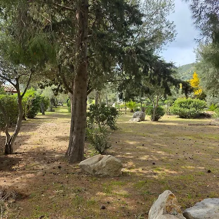 Vakantiehuis Flamingos In The Desert Villasimius