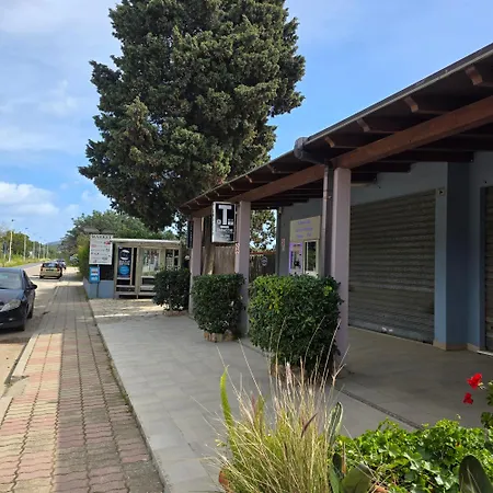 Flamingos In The Desert * Villasimius