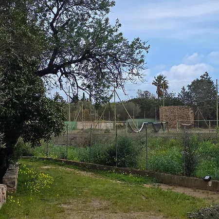 Vakantiehuis Flamingos In The Desert Villasimius