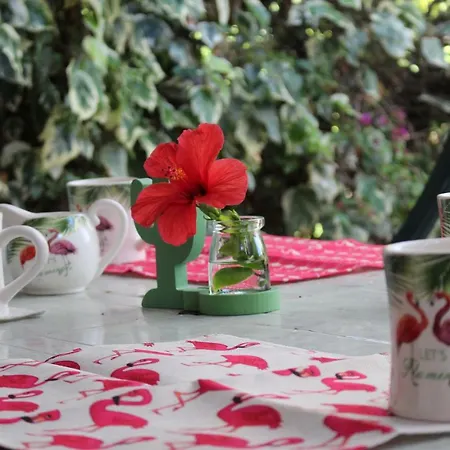 Flamingos In The Desert Holiday home