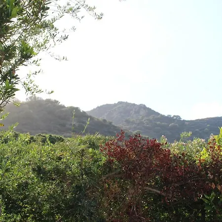 Flamingos In The Desert Віллазімьюс