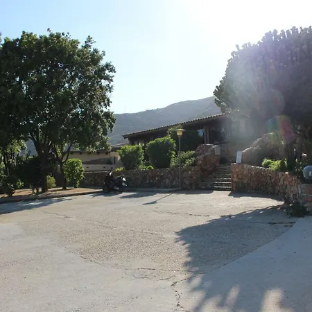 Flamingos In The Desert