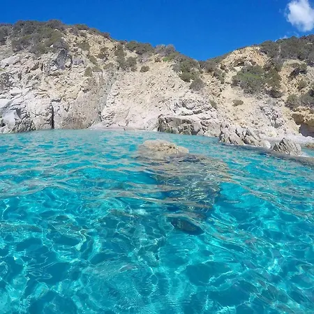 Flamingos In The Desert