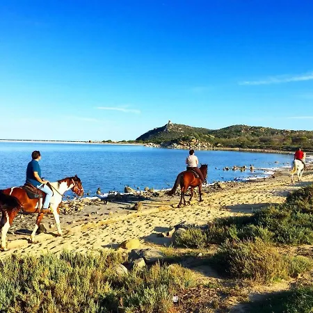 Flamingos In The Desert *