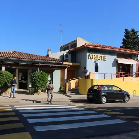 Flamingos In The Desert *