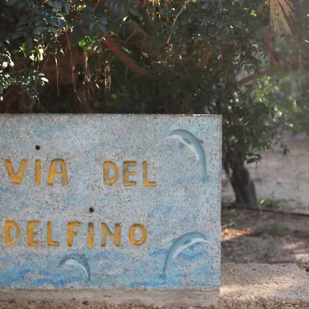 Flamingos In The Desert *