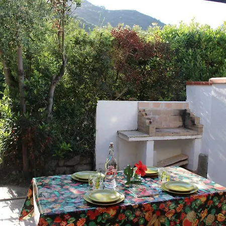 Flamingos In The Desert