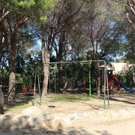 Flamingos In The Desert * Villasimius