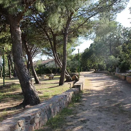 Flamingos In The Desert Villasimius