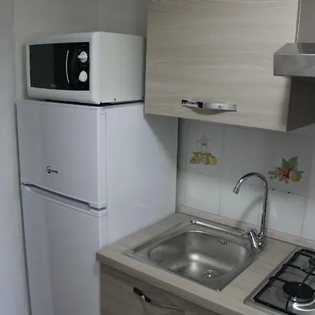 Flamingos In The Desert * Віллазімьюс