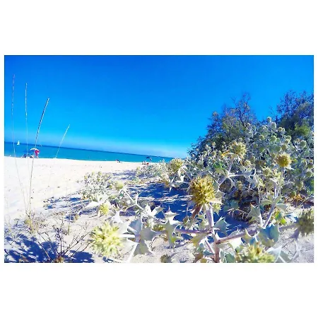 Будинок відпочинку Flamingos In The Desert *