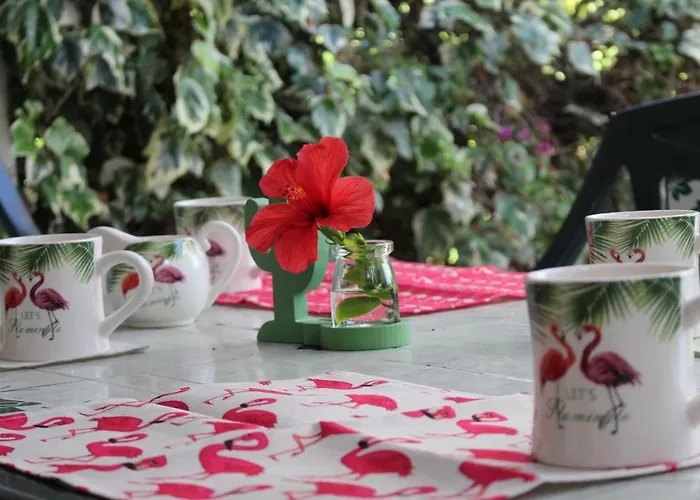 Flamingos In The Desert Casa vacanze