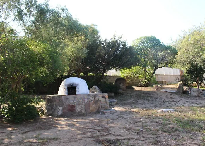 Casa vacanze Flamingos In The Desert