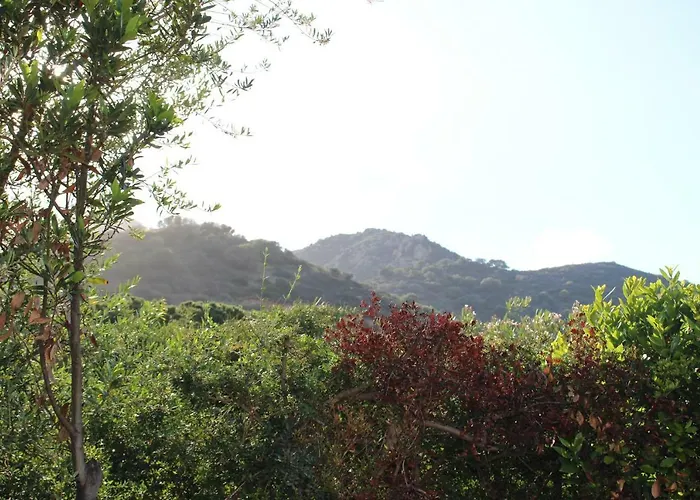 Flamingos In The Desert Villasimius