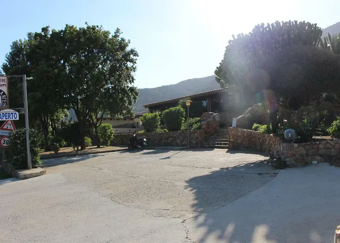 Flamingos In The Desert