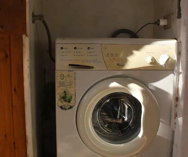 Flamingos In The Desert *