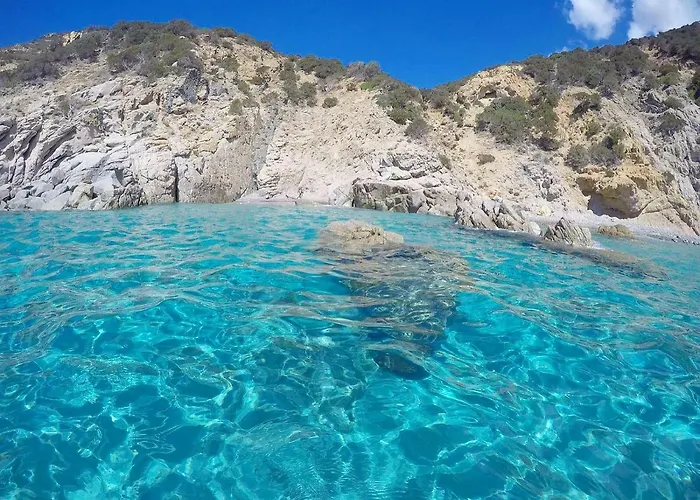 Flamingos In The Desert