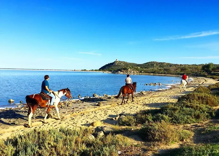 Flamingos In The Desert *