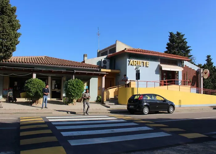 Flamingos In The Desert *