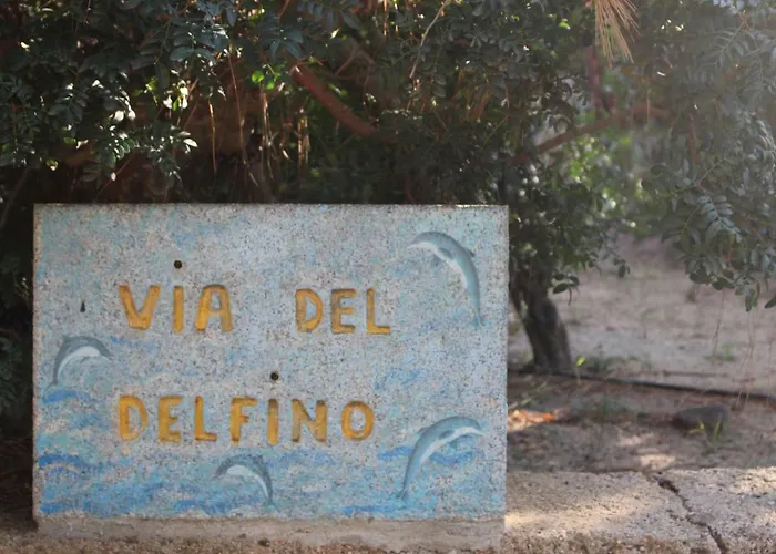 Flamingos In The Desert *