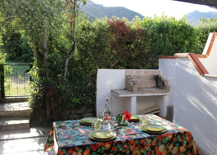 Flamingos In The Desert