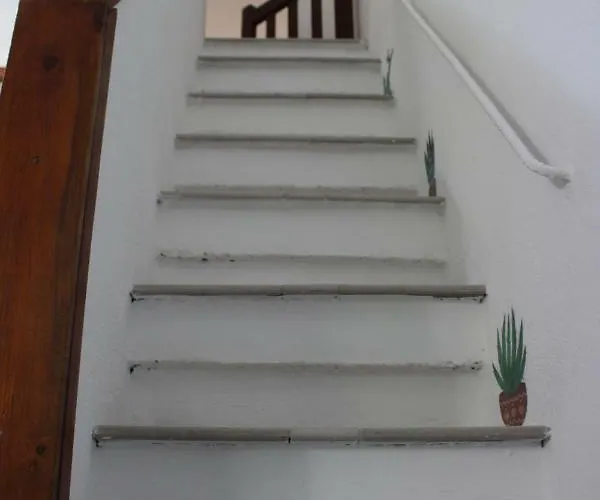 Prázdninový dům Flamingos In The Desert *