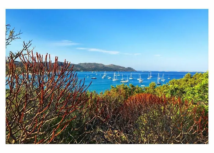 Flamingos In The Desert Holiday home *
