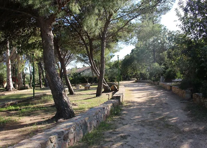 Flamingos In The Desert Villasimius