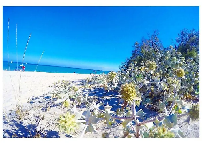 Prázdninový dům Flamingos In The Desert *